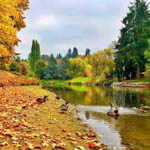 Burke-Gilman Trail