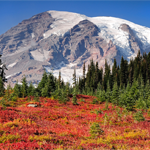 Mount Rainier National Park