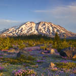 Mt St Helens