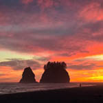 Olympic National Park