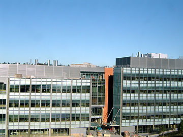 Foege Building Construction