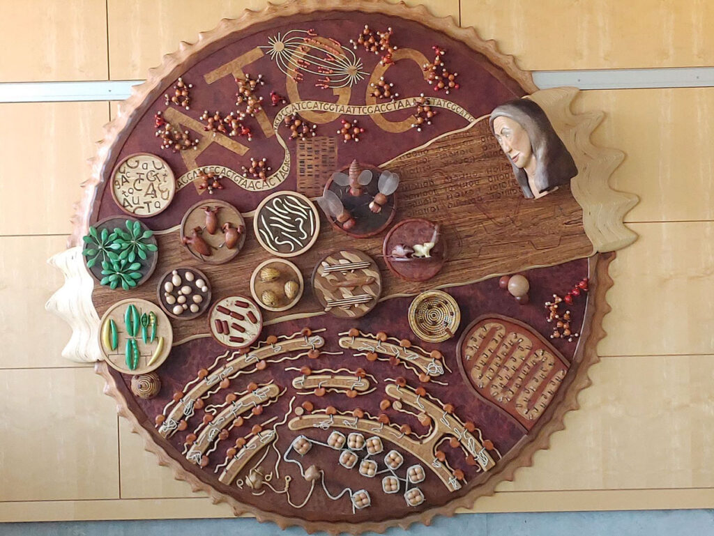 Genomic Journey
by James Mhyre
